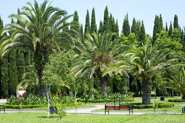 Similar image 1579226