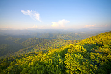 Similar image 1579229