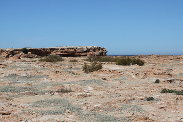 Similar image 1579290