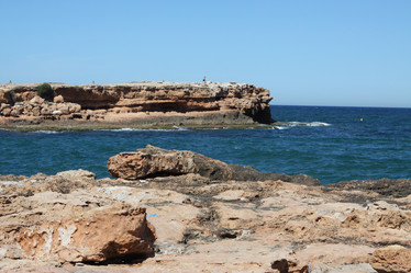 Similar image 1579291