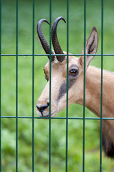 Similar image 1579377