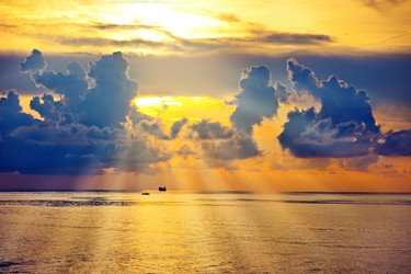 Similar image 1579395