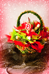 Similar image 1579457