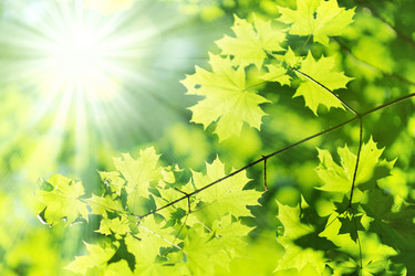 Similar image 1579463