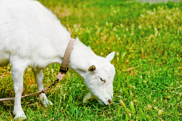 Similar image 1579468