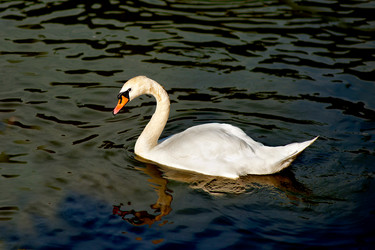 Similar image 1579487