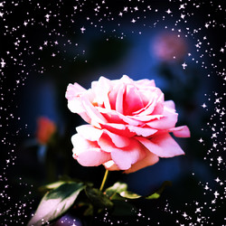 Similar image 1579494