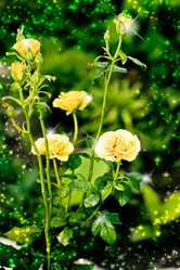 Similar image 1579496