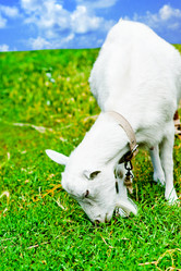 Similar image 1579497