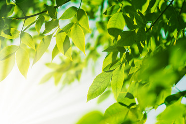 Similar image 1579511