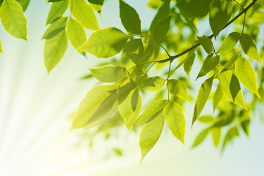 Similar image 1579512