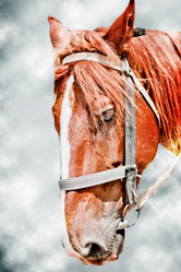 Similar image 1579514