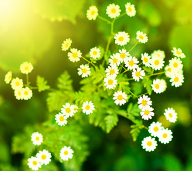 Similar image 1579521