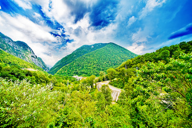 Similar image 1579522