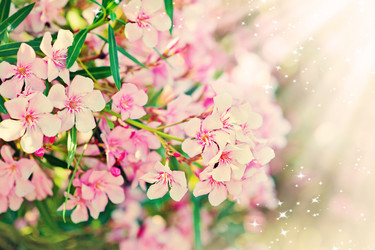 Similar image 1579524