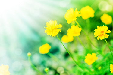 Similar image 1579530