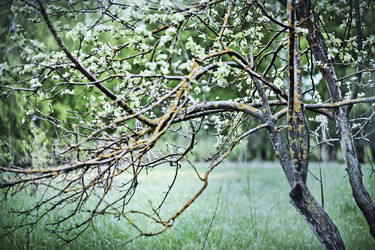 Similar image 1579576