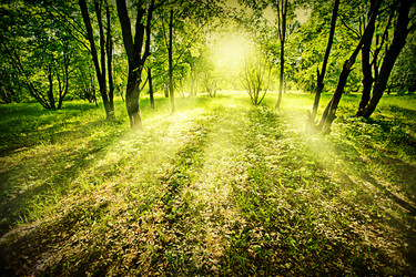 Similar image 1579577