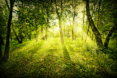 Similar image 1579578