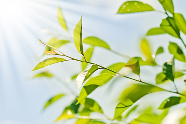 Similar image 1579579