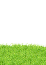 Similar image 1579597