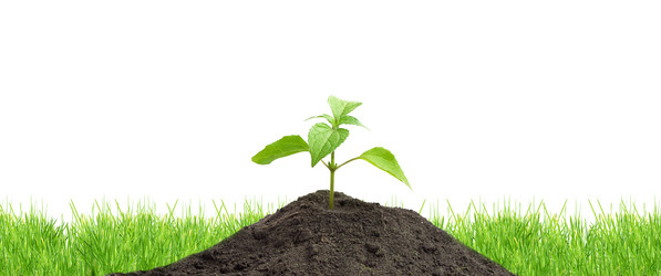 Similar image 1579599