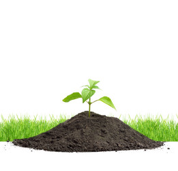 Similar image 1579600