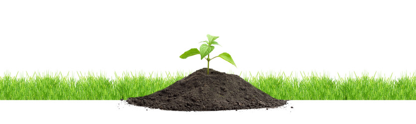 Similar image 1579611