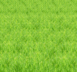 Similar image 1579613