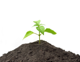 Similar image 1579617