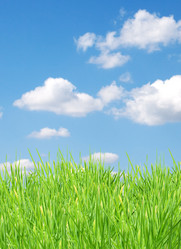 Similar image 1579622