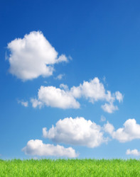 Similar image 1579630