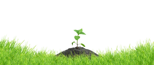 Similar image 1579632