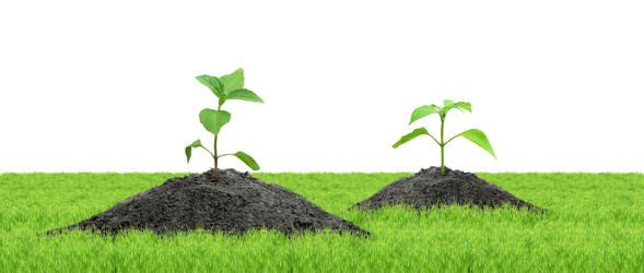 Similar image 1579669