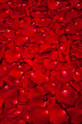 Similar image 1579690