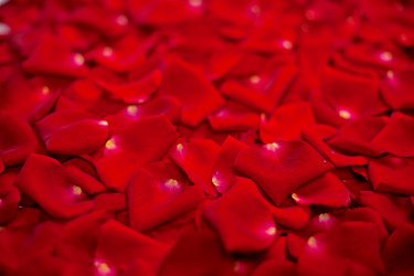 Similar image 1579692