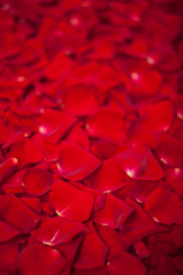 Similar image 1579701