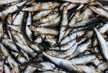 Similar image 1579756