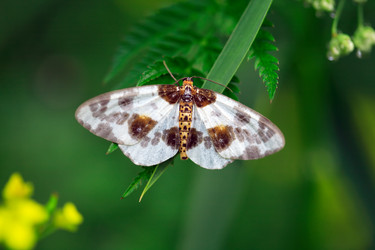 Similar image 1579776