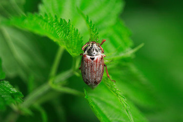 Similar image 1579779