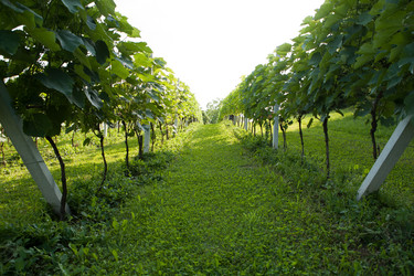 Similar image 1579808