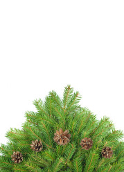 Similar image 1579815