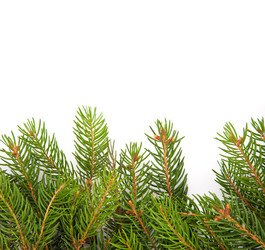 Similar image 1579818