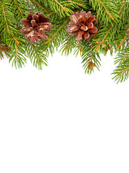 Similar image 1579827