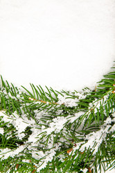 Similar image 1579832