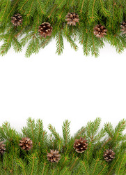 Similar image 1579833