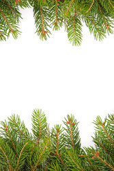 Similar image 1579835