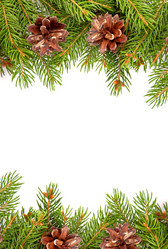 Similar image 1579838