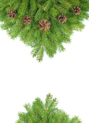 Similar image 1579839