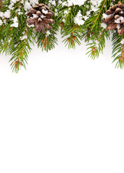 Similar image 1579845